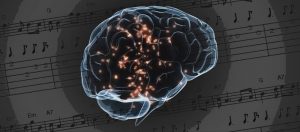 Doktorasını “Melbourne Üniversitesi”nde nöroloji ve müzik eğitimi üzerine yapan “Anita