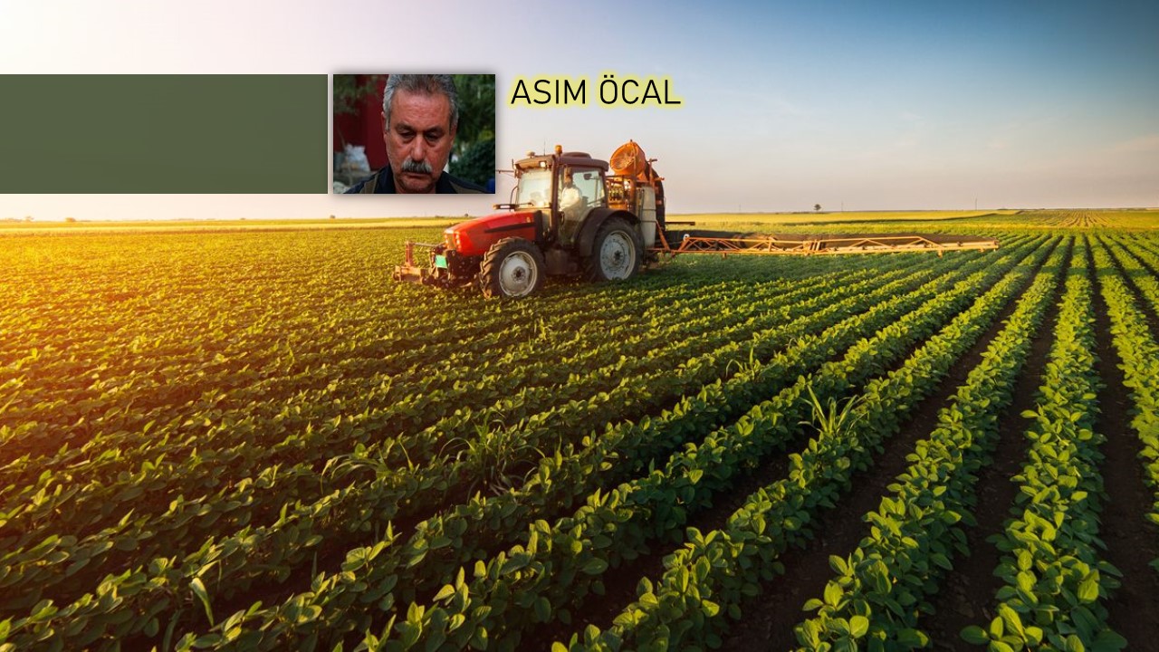 Başlığı görünce bazı okurlar yine mi tarım diye tepki verebilir.