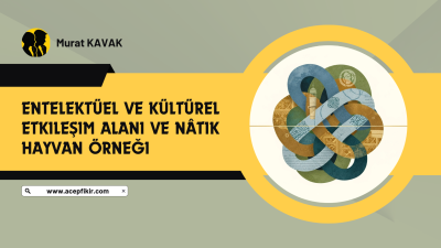 Tarihsel süreç içinde felsefenin düşünsel yolculuğu, kritik dönemeçlerden geçmiş ve